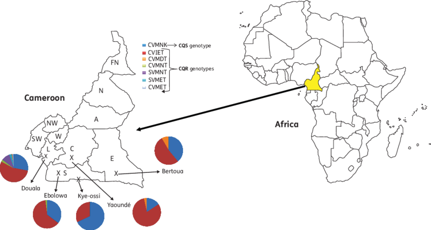 A Map Of Africa Showing The Location Of Cameroon, And - Blank Map Of Africa 1800 (850x455), Png Download