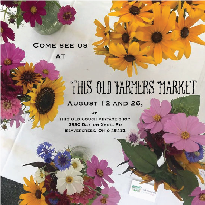 We Are Pleased To Be Vending At This Old Farmers Market, - African Daisy (1200x800), Png Download