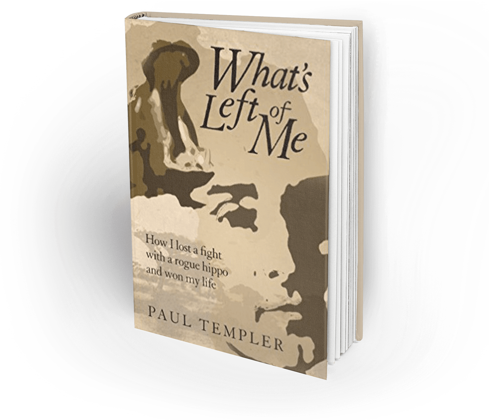 Blog - What's Left Of Me: How I Lost A Fight With A Rogue (1592x1366), Png Download