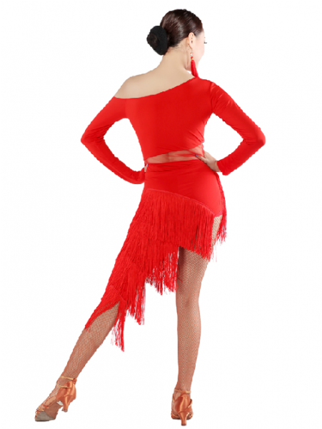 Women Long Tassel Long Sleeves Latin Dance Dress Set - Matrix Costume Women (600x600), Png Download