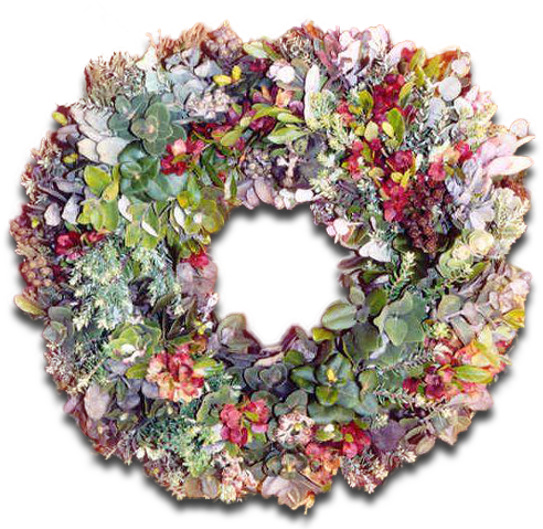 Hawai'i Has Many Alternative Berries And Greens To - Wreath (500x500), Png Download