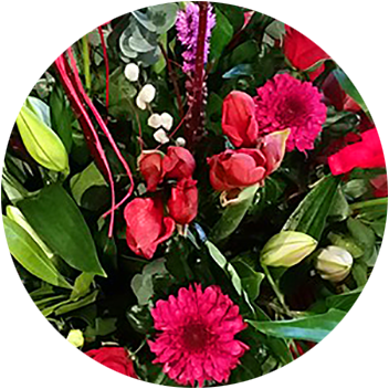 Mallow Flowers And Gifts - Gift (352x352), Png Download