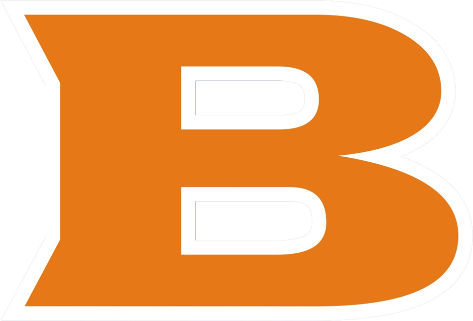 Louis D Brandeis Broncos - Brandeis High School Logo (950x645), Png Download