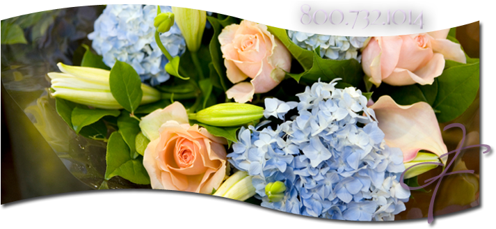 Sympathy Flowers Baltimore Cockeysville Towson - Baltimore (720x328), Png Download