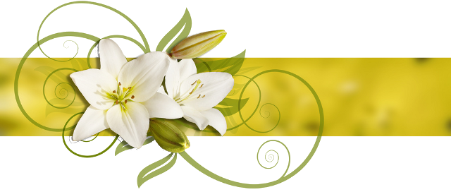 My Name Is Shirley Timms And I Am An Independent Civil - Funeral Lily Flowers Png (640x272), Png Download