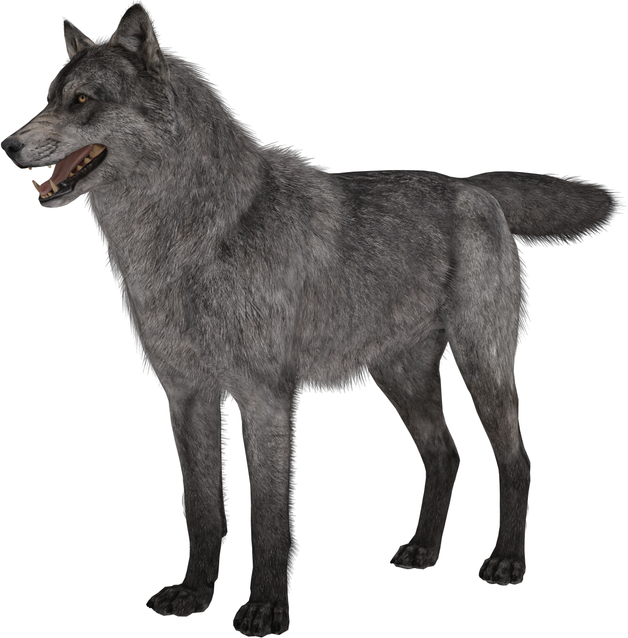 Free Call Of Duty Ghosts Riley Png - Call Of Duty Ghosts Wolves (1267x1263), Png Download