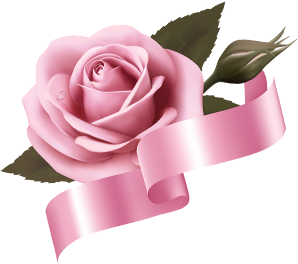 Цветок Розы, Красная Роза, Цветы - Beddinginn Romantic Champagne Rose 3d Printed Polyester (600x540), Png Download