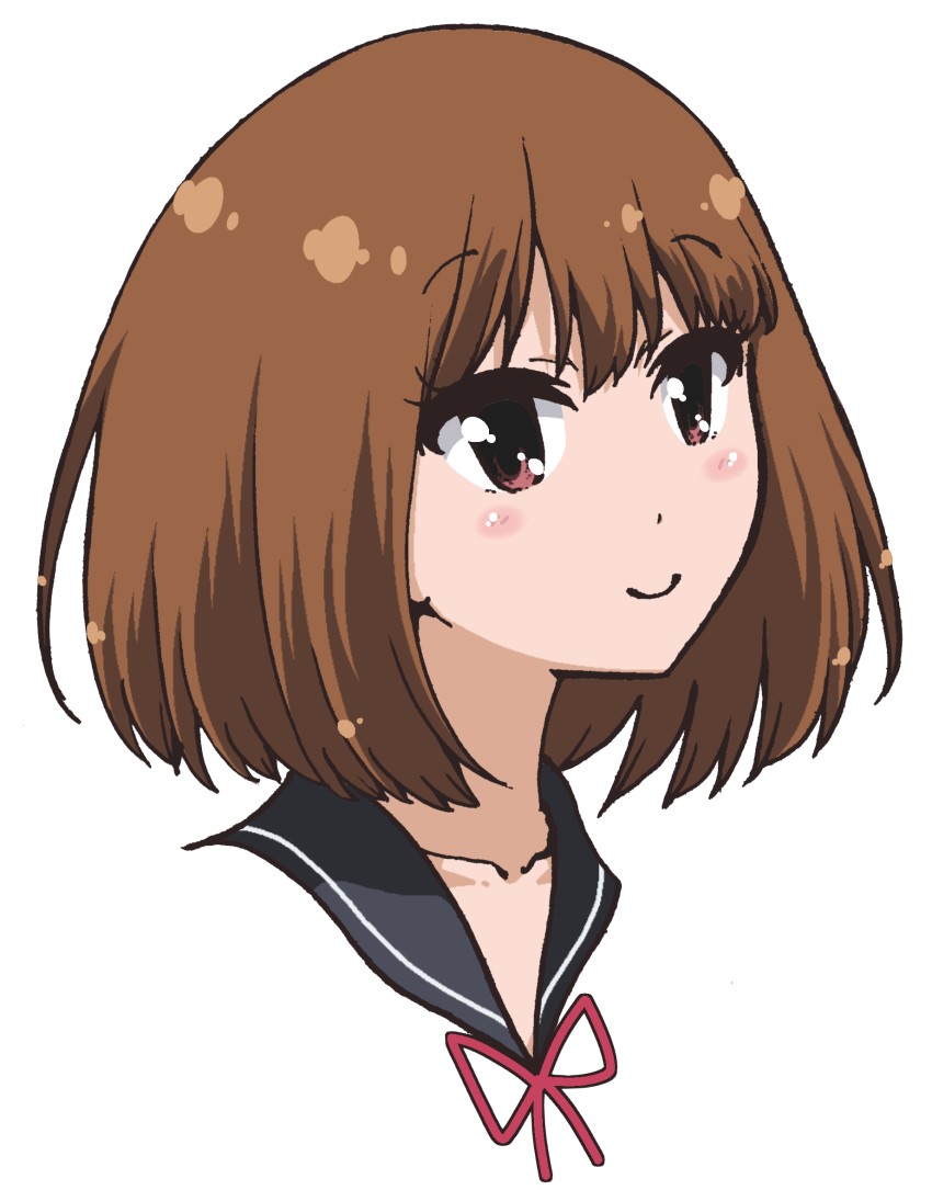 Brown Eyes Brown Hair Head Only Highres Medium Hair - Cartoon (850x1085), Png Download