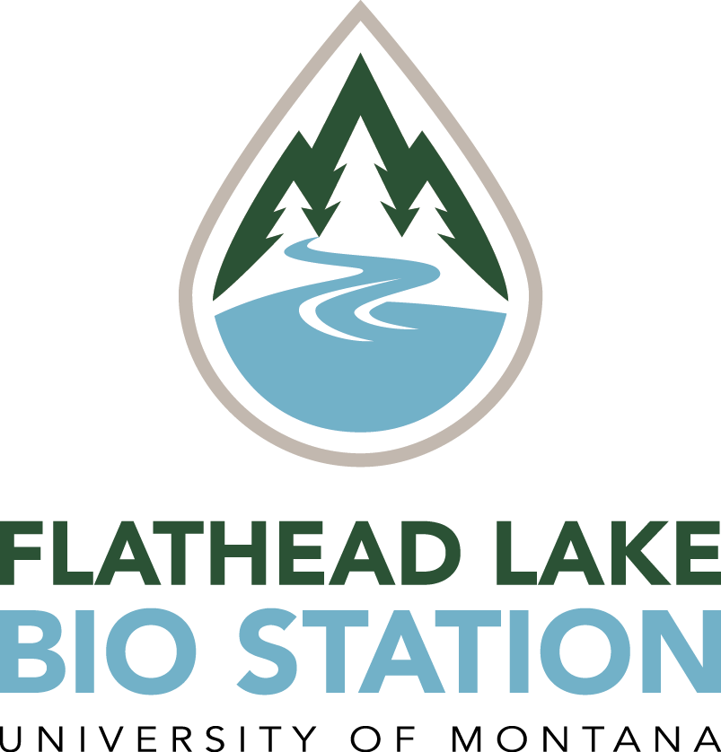 Flbs Vertical Mountains River Lake Logo - Lake River In Logo (803x838), Png Download