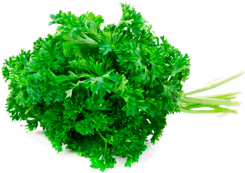 Perejil Triple Curled - Green (1000x608), Png Download
