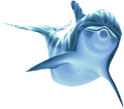 Cascade 1 1 78 K6ngnpgfwehnc 79cs-da0s 0 E89bd 46240570 - Dolphin Png (434x387), Png Download