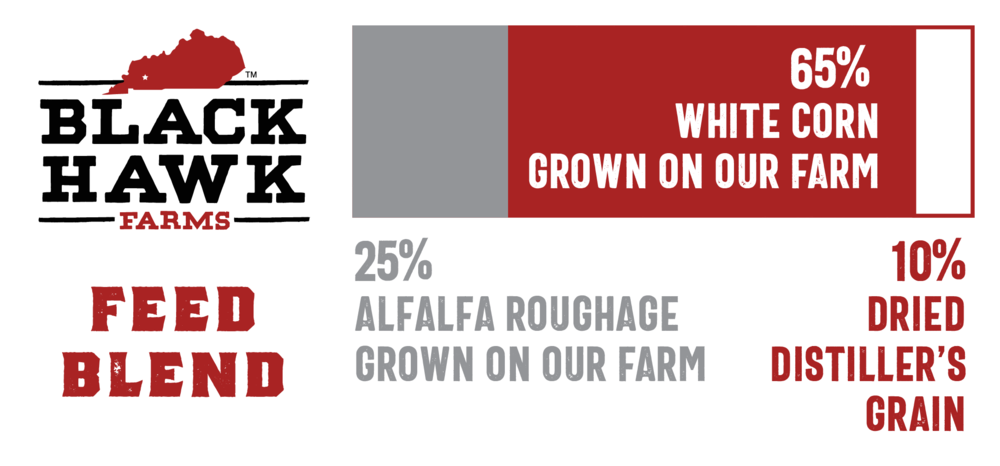 Black Hawk Differences-05 - Love Black Boys (1000x466), Png Download