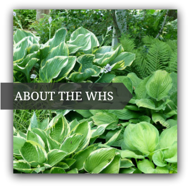About Us - Wisconsin (380x380), Png Download