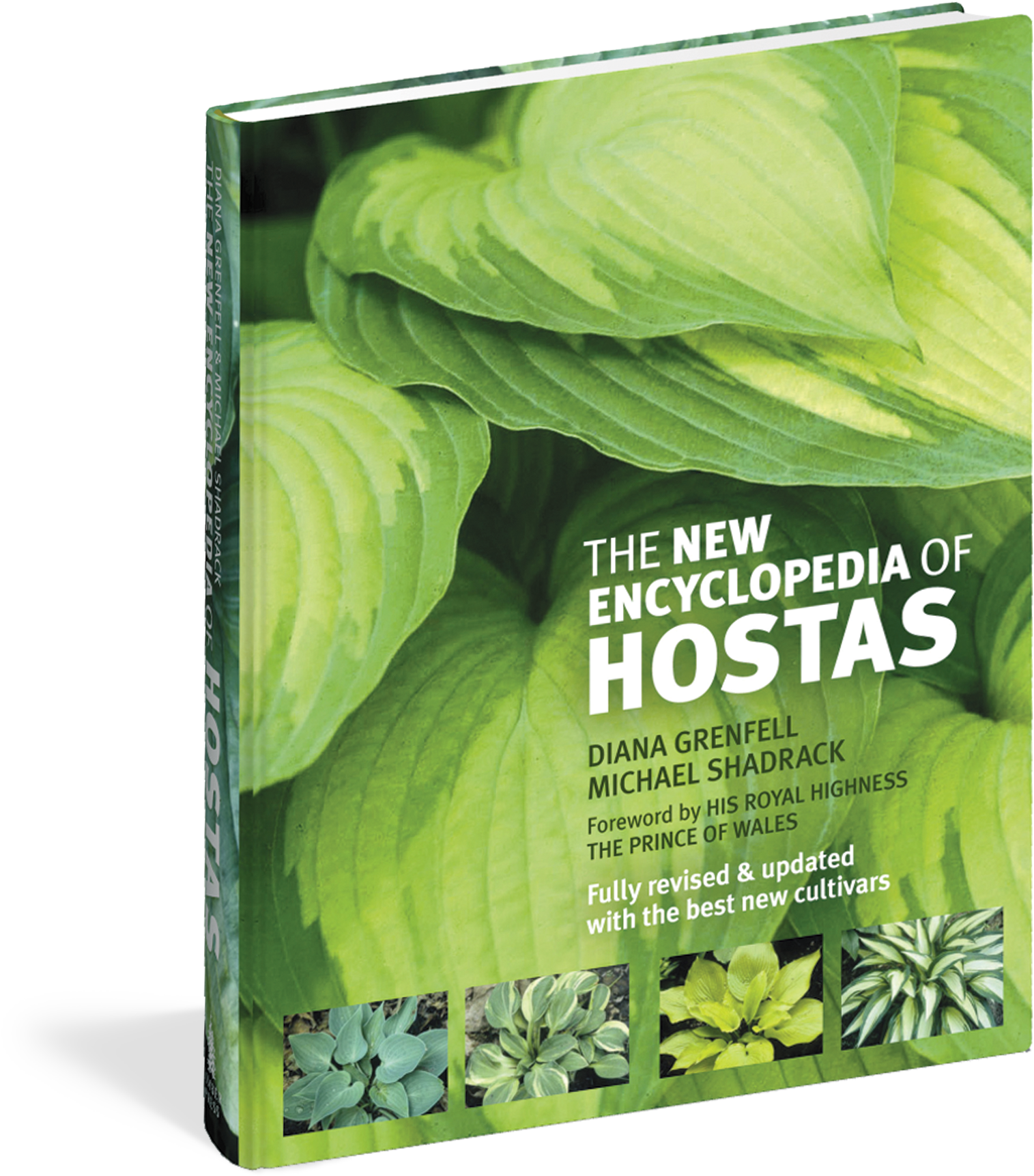 The New Encyclopedia Of Hostas - New Encyclopedia Of Hostas (1650x1800), Png Download