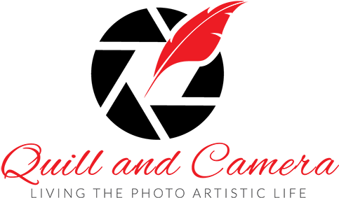 Camera Lens Icon Png (500x297), Png Download