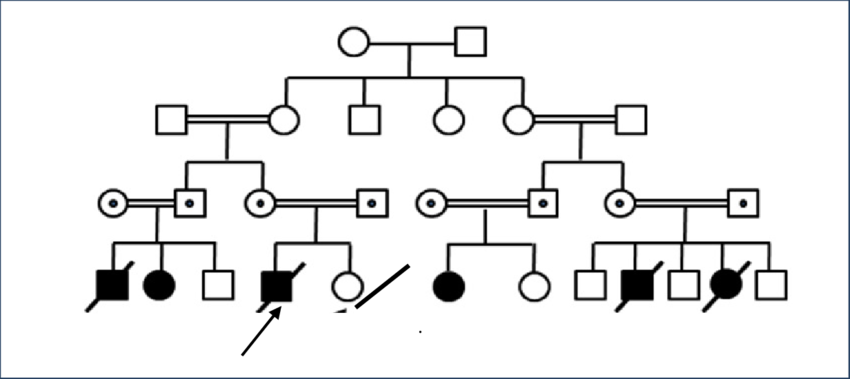 Pedigrees Of The Family Black Symbol Indicate Affected - Diagram (850x379), Png Download