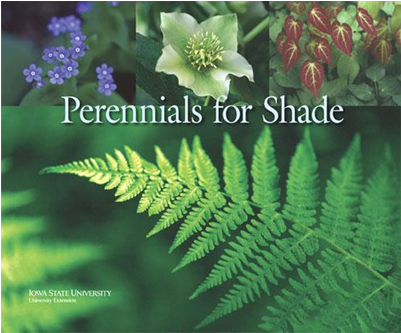 Silence Ça Pousse! - L'hiver Au Jardin (3 Dvd) (400x514), Png Download