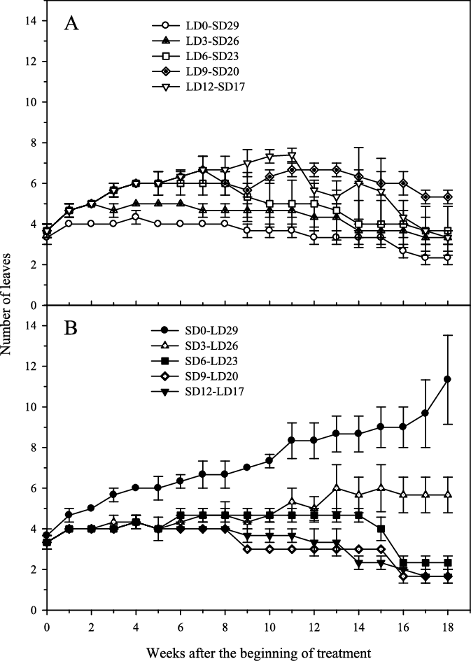 Changes In Number Of Leaves Of Hosta Yingeri As Influenced - Diagram (673x945), Png Download