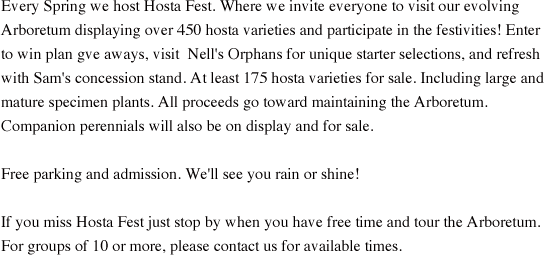 Festival (544x255), Png Download