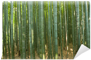 Bamboo Forest (400x400), Png Download