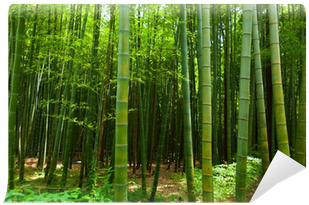 Bamboo (400x400), Png Download