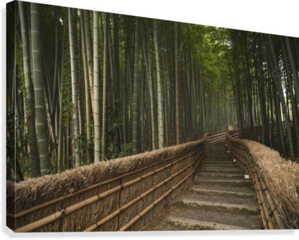 Stone Pathway In Bamboo Forest - Supplier Generic Stone Pathway In Bamboo Forest Arashiyama (429x344), Png Download