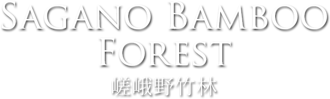 Sagano Arashiyama Bamboo Forest - Arashiyama (750x300), Png Download