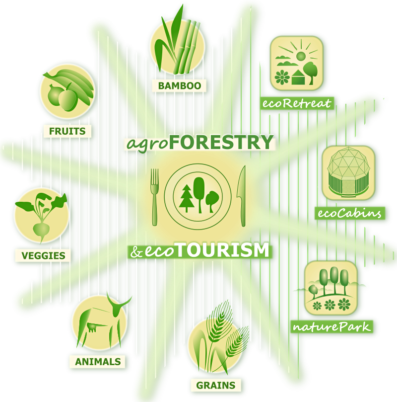 Regenerative Agriculture, Agroecology And Agroforestry - Bamboo Forest Ecosystem Logo (800x809), Png Download