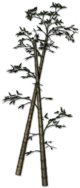 Qebf Night Bamboo Fallen 2 - Pond Pine (280x700), Png Download