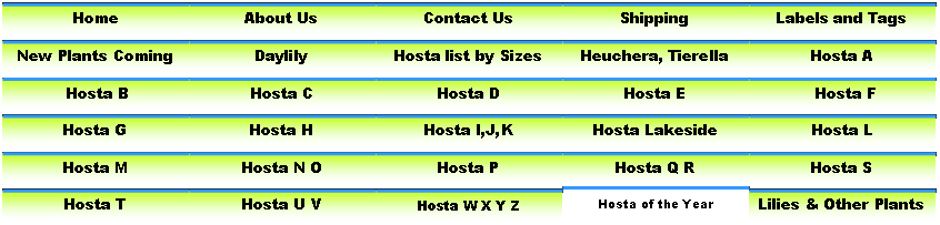 Click On The Photo Below To Be Taken To The Detail - Plantain Lilies (846x203), Png Download