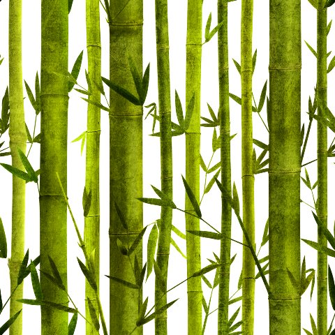 Bamboo Lessons Twin Duvet (480x480), Png Download