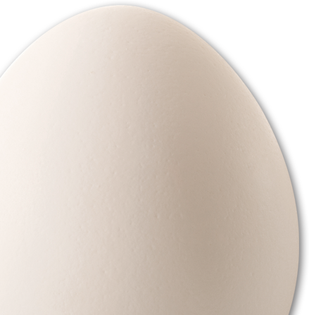 Egg Picture - Centrum Valley Farms, Llp (439x447), Png Download