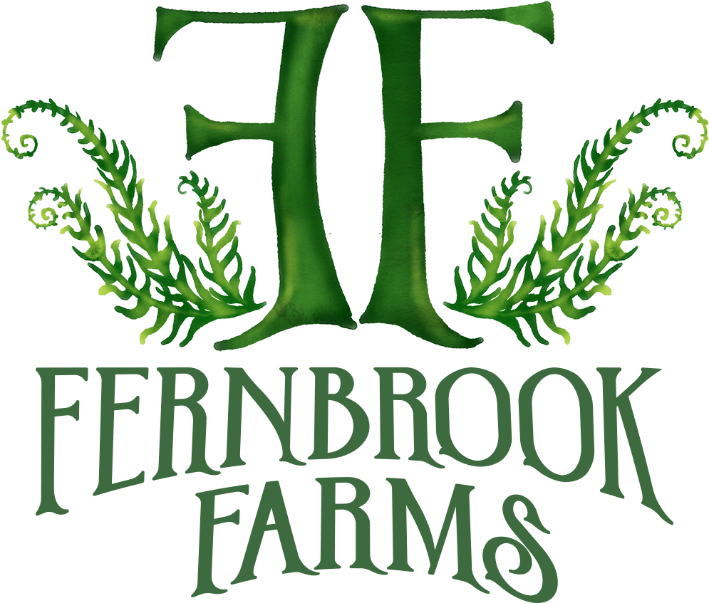 Not So Scary Halloween - Fernbrook Farms Environmental Education Center (1080x1080), Png Download