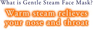What Is Gentle Steam Face Mask Warm Steam Relieves - Mask (300x97), Png Download