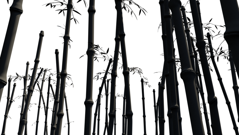 Testscene 4 - 0001 - Model (1000x563), Png Download