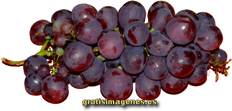 Racimo De Uvas - Seedless Fruit (570x380), Png Download