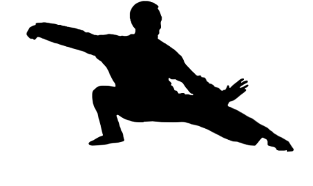 Get New Product Updates - Tai Chi Silhouette Png (500x329), Png Download