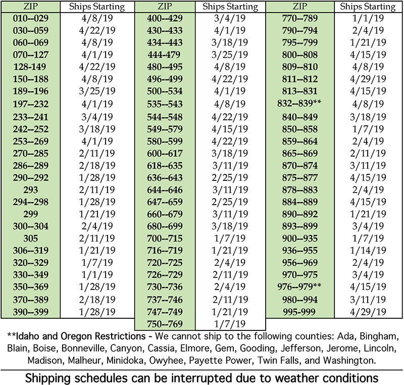 Shop For Onion Plants - Number (800x762), Png Download