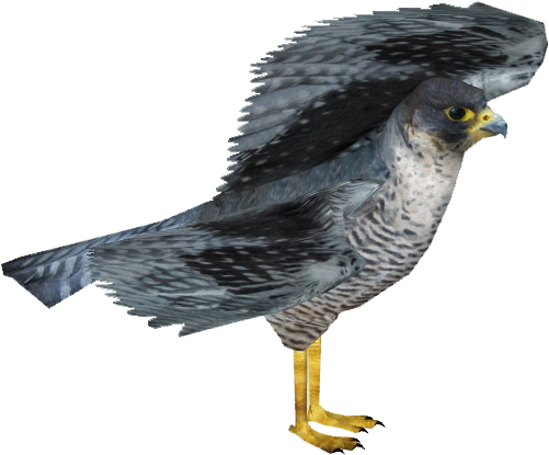 Falconperegrine Zerosvalmont - Peregrine Falcon Zt2 (500x500), Png Download