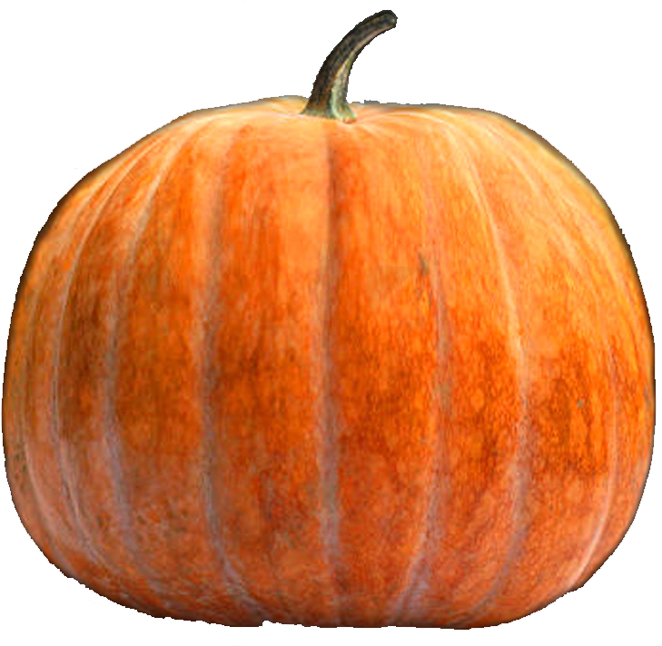 Online Pumpkin Carving - Pumpkin (768x768), Png Download