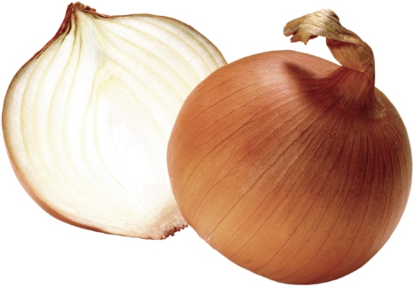 Onion Clipart (840x781), Png Download