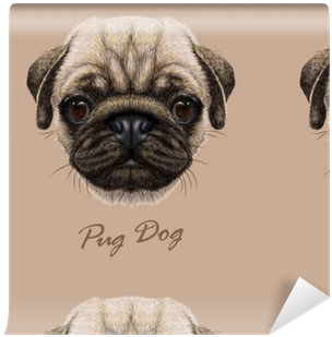 Vector Illustrative Portrait Of Pug Dog - Infographic Pug (400x400), Png Download