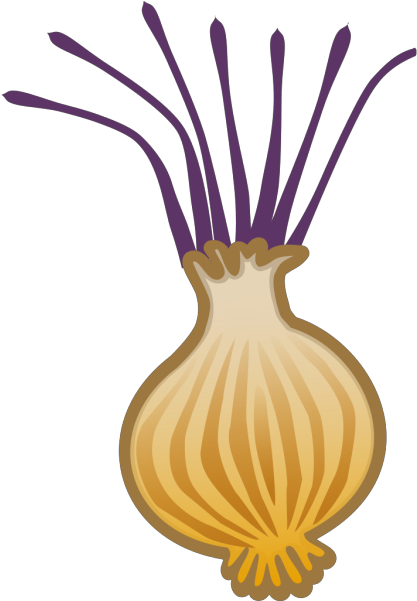 Onion - Vegetables Clipart (416x600), Png Download