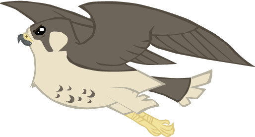 Alicesstudio, Bird, Falcon, Flying, Peregrine Falcon, - My Little Pony Falcon (514x276), Png Download