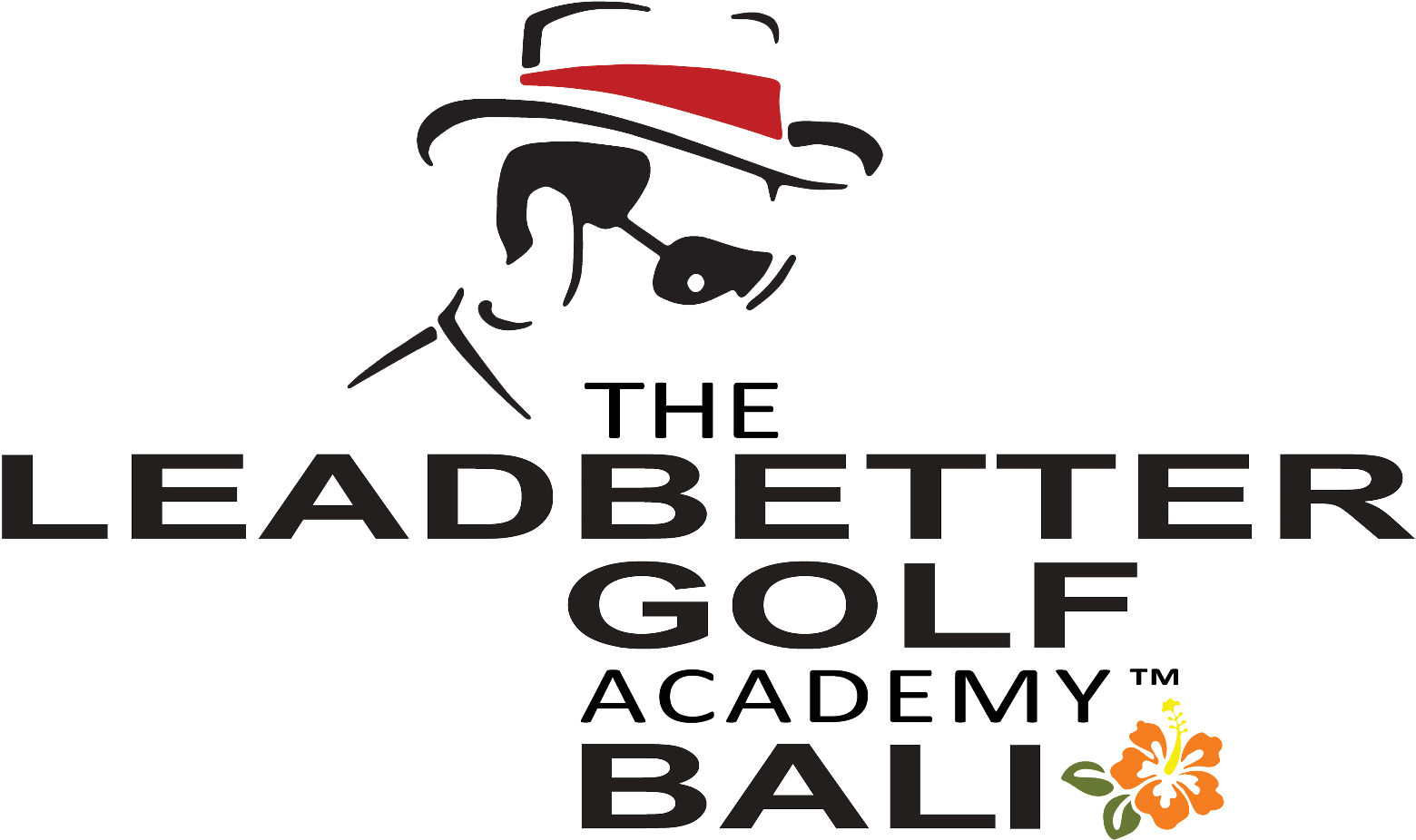 Download David Leadbetter Golf Academy PNG Image with No Background