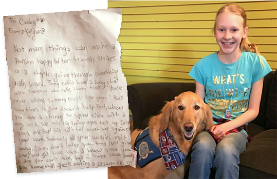 Picture - “ - Dog (594x395), Png Download