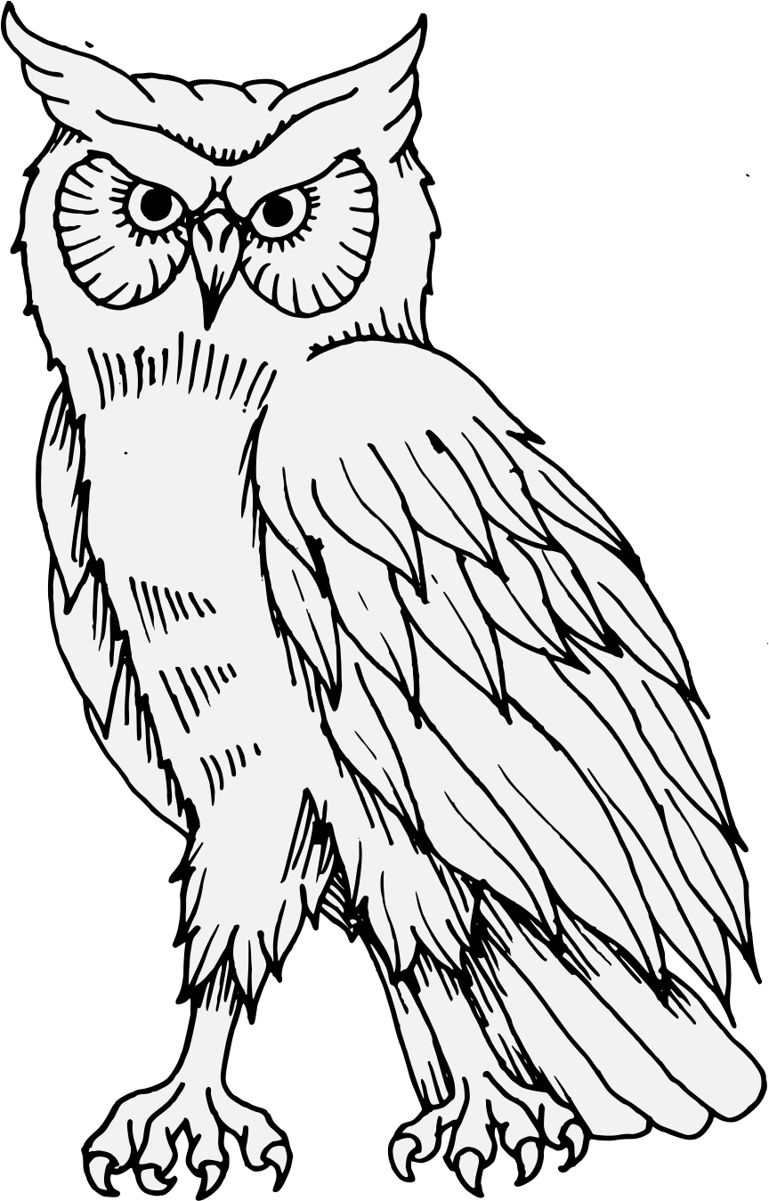 Details, Png - Illustration (881x1356), Png Download