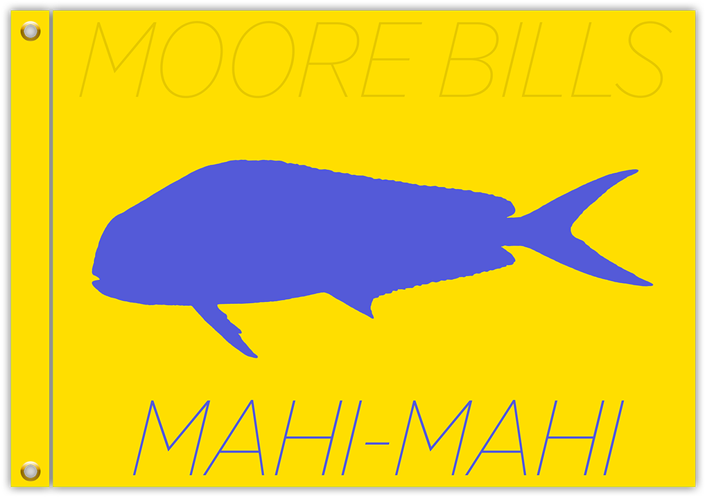 Huk Big Fish Classic (1065x800), Png Download