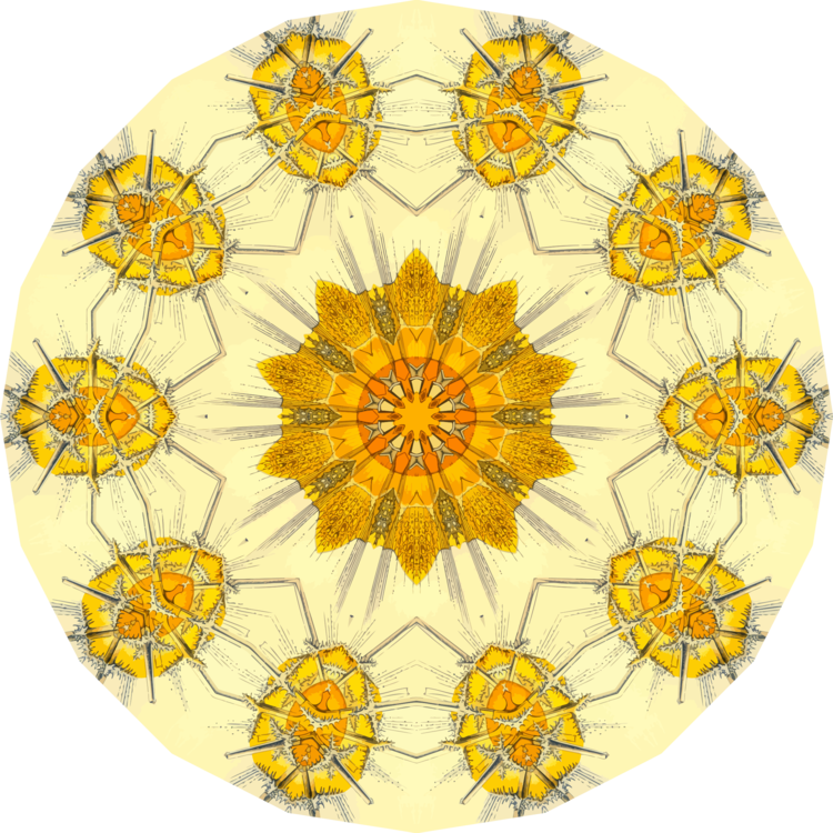 All Photo Png Clipart - Design (750x750), Png Download