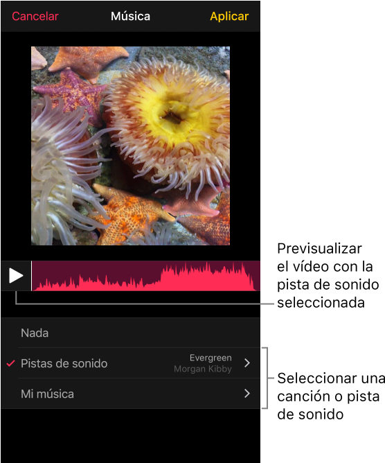 Bajo La Imagen Del Visor Hay Un Botón De Reproducción - Music (578x668), Png Download